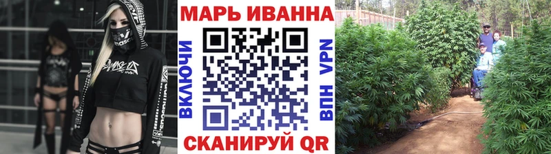МАРИХУАНА семена  где найти наркотики  Магас 